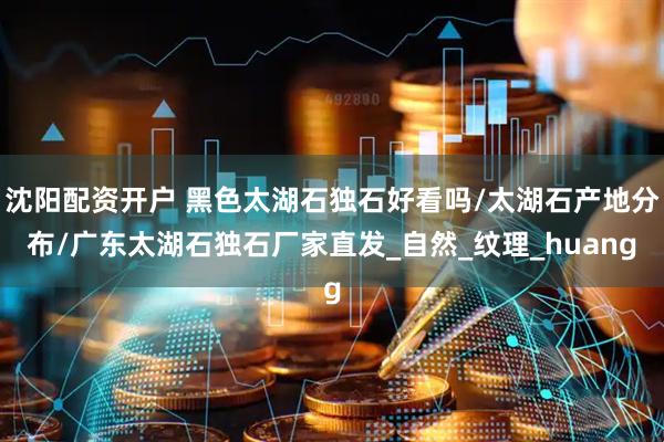 沈阳配资开户 黑色太湖石独石好看吗/太湖石产地分布/广东太湖石独石厂家直发_自然_纹理_huang